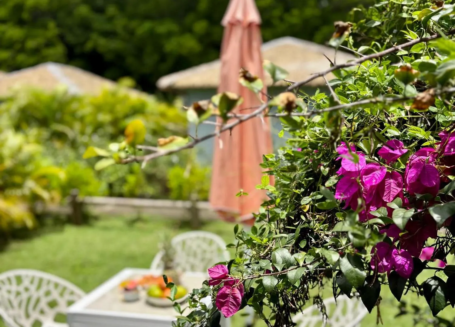 Appartement Le Cocon Miel, Piscine, Plage Accessible A Pied, Tennis Folle Anse